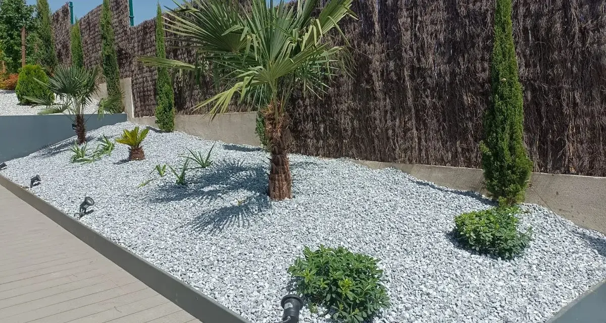 Jardines con piedras blancas y plantas exóticas, como palmeras y cipreses, crean un oasis moderno.