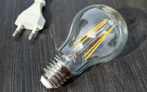 Bombilla LED y enchufe. Interesante saber cuanto gasta una bombilla encendida 24 horas.