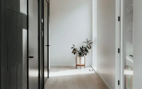 Ideas para como decorar un recibidor pequeño: una planta en maceta blanca sobre un soporte de madera ilumina el pasillo.