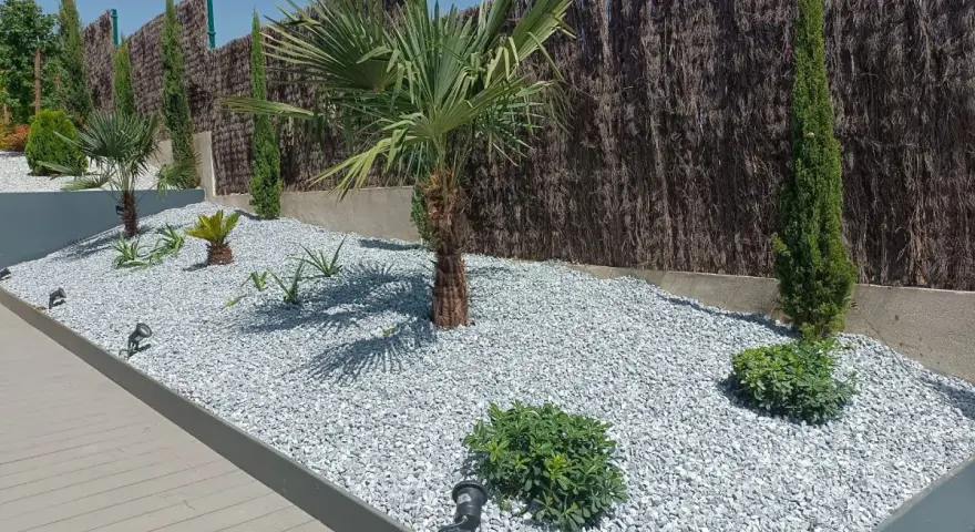 Jardines con piedras blancas y plantas exóticas, como palmeras y cipreses, crean un oasis moderno.