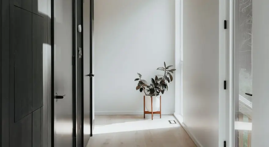 Ideas para como decorar un recibidor pequeño: una planta en maceta blanca sobre un soporte de madera ilumina el pasillo.