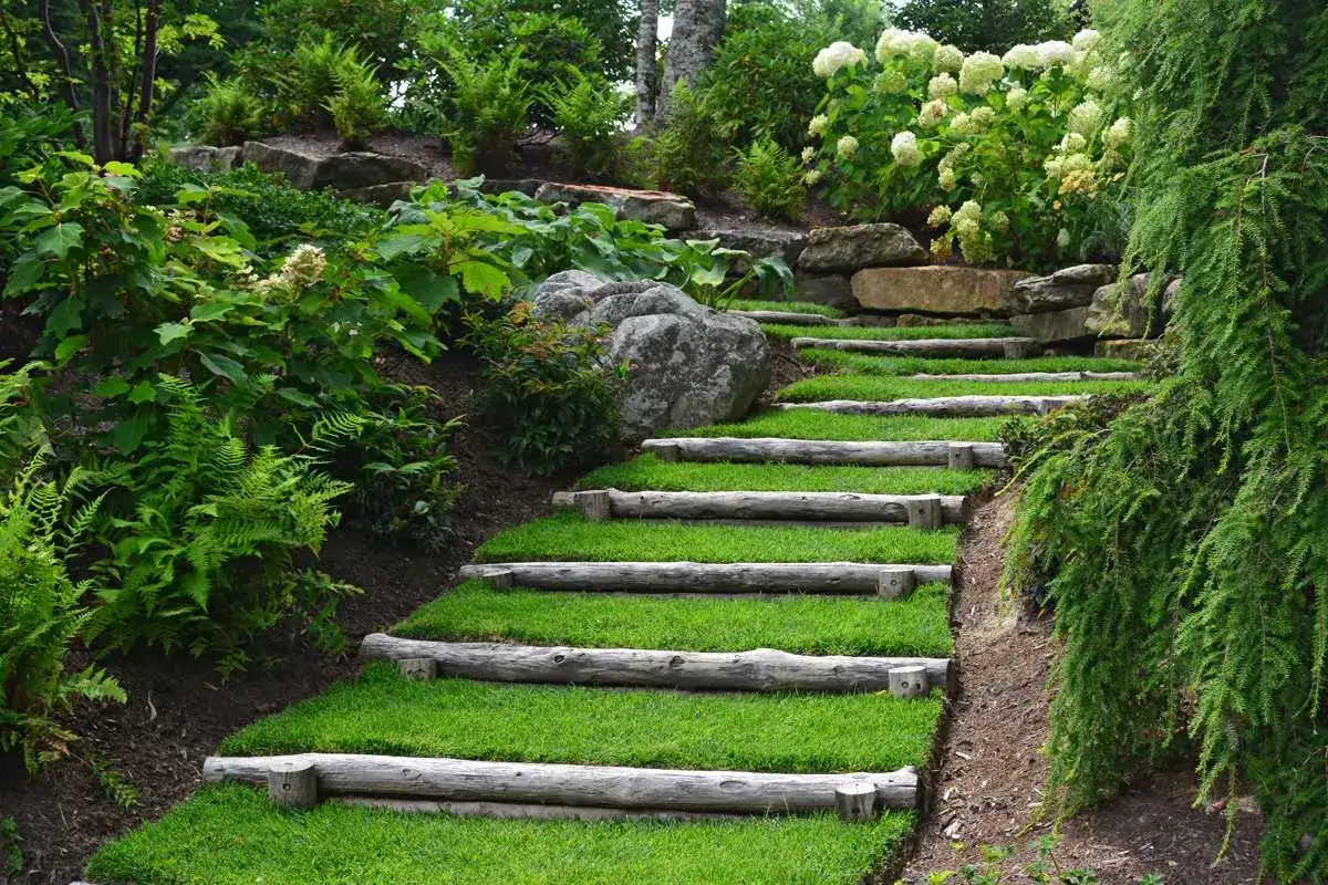 Moderna obra de escaleras exteriores con troncos y c&eacute;sped, integradas en un jard&iacute;n exuberante con rocas y vegetaci&oacute;n.