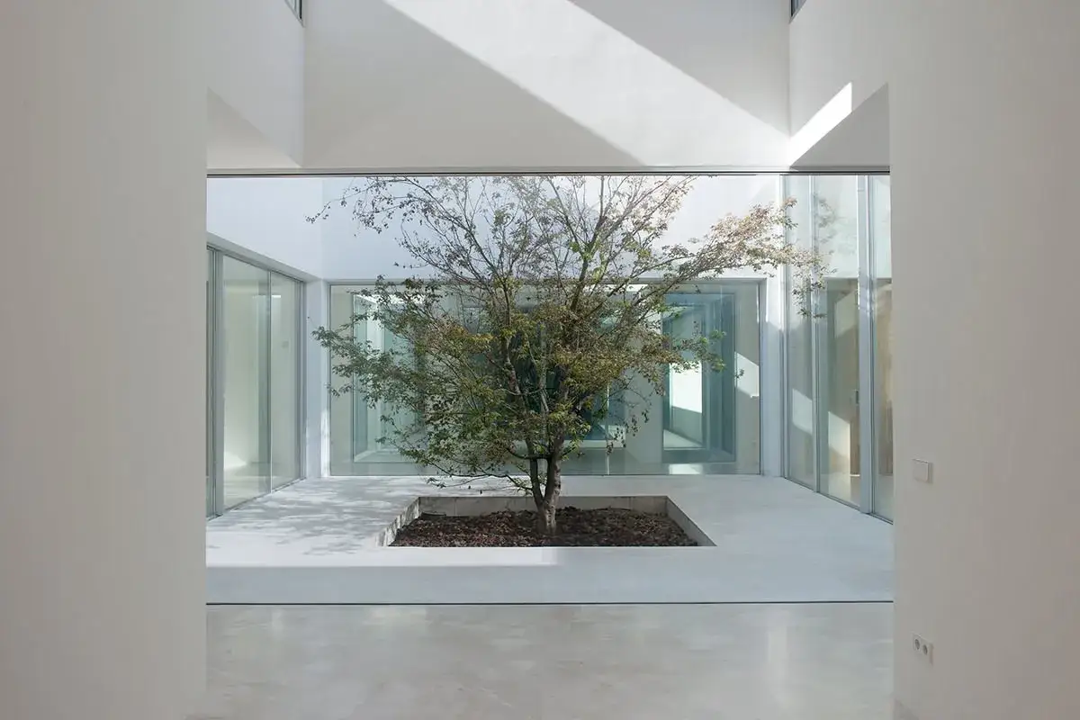 Árbol solitario en un patio interior moderno, con suelo de baldosas claras y paredes blancas. La luz natural ilumina la escena, creando una atmósfera serena. Una decoración patio interior minimalista y elegante.