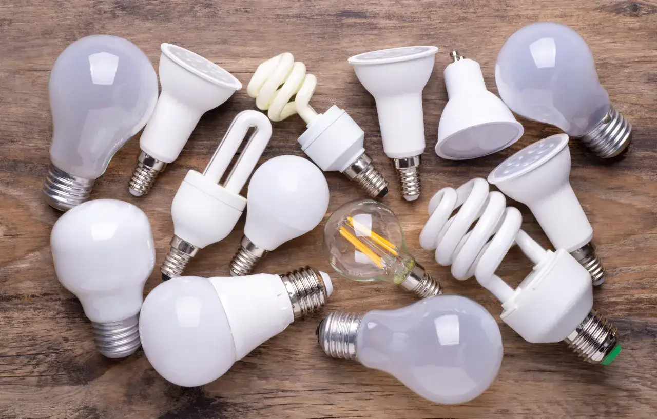 Variedad de bombillas LED y fluorescentes compactas, promoviendo la eficiencia energ&eacute;tica en el hogar.